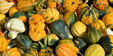 Tipps für den September